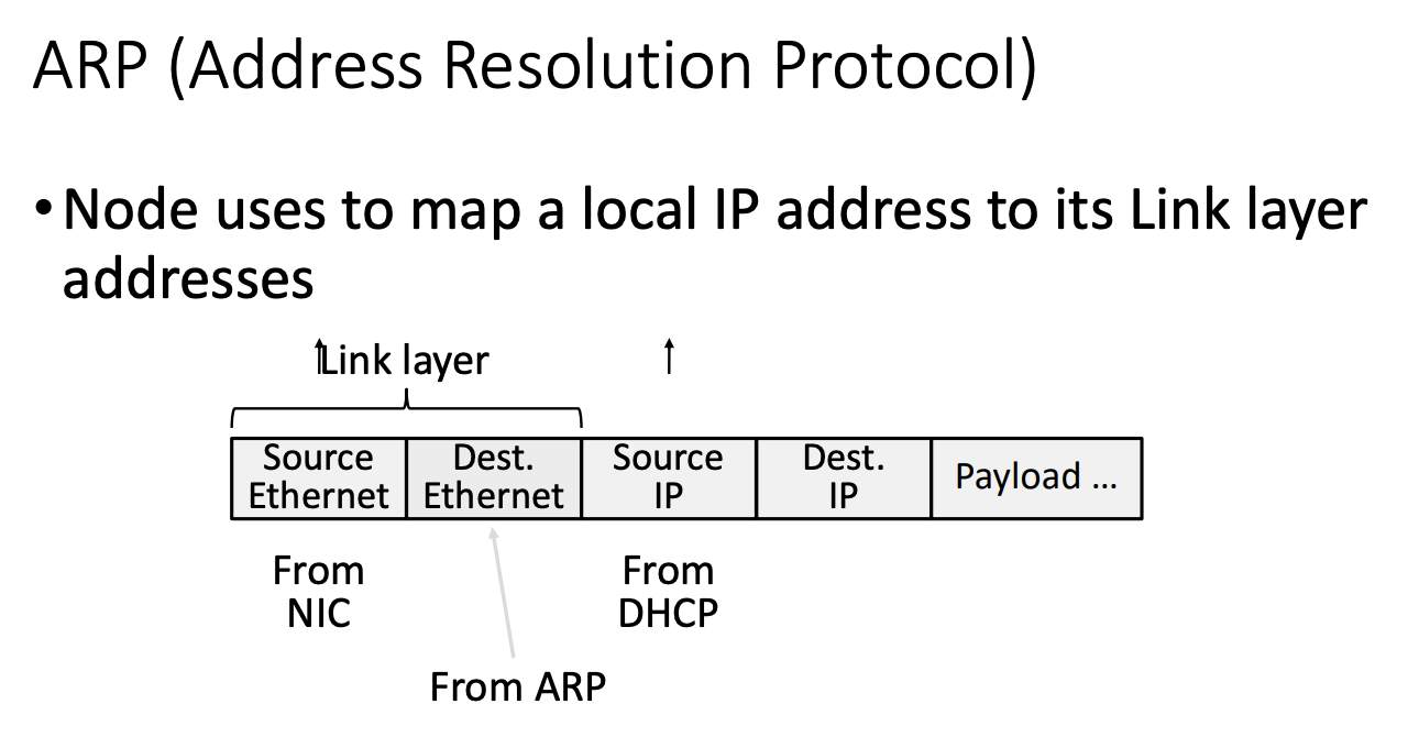 Where each header field of an outgoing packet comes from